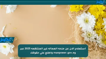 استعلام الآن عن منحة العمالة غير المنتظمة 2025 عبر manpower.gov.eg واطلع على حقوقك